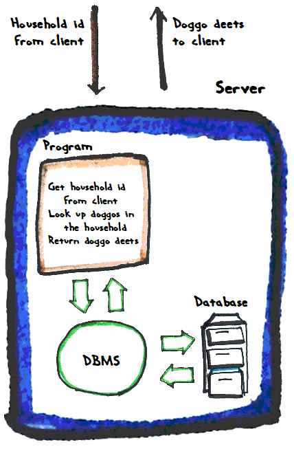 Program to DBMS to DB